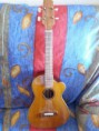 /album/fotos-de-productos-nuevos/ukulele-joan-sebastian-jpg/